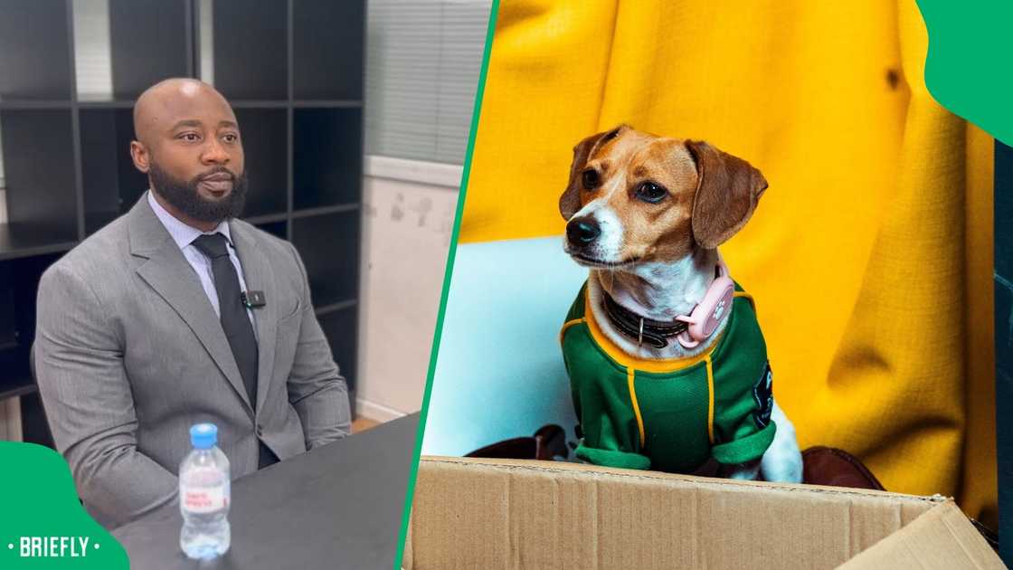 SA reacts to Tumelo Ramaphosa and his spoiled dog on Podcast and Chill SA reacts to Tumelo Ramaphosa and his spoiled dog on Podcast and Chill