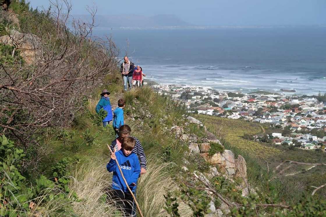 things to do in Hermanus