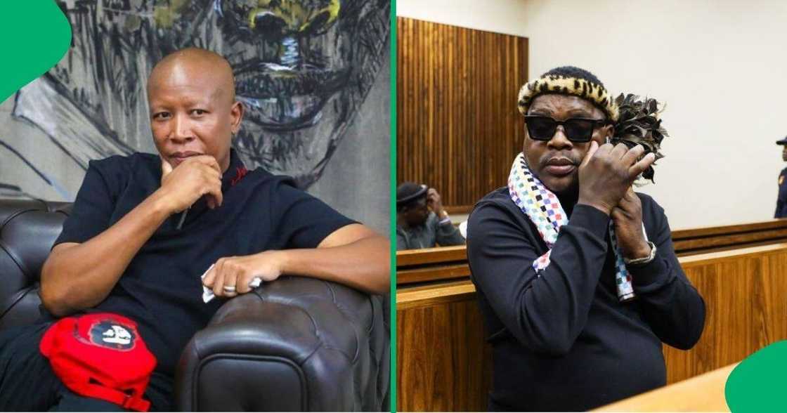 Julius Malema has received an apology from Ngizwe Mchunu.