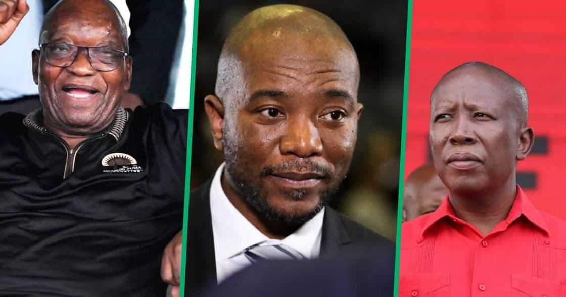 Jacob Zuma, Mmusi Maimane and Julius Malema formed their own political parties