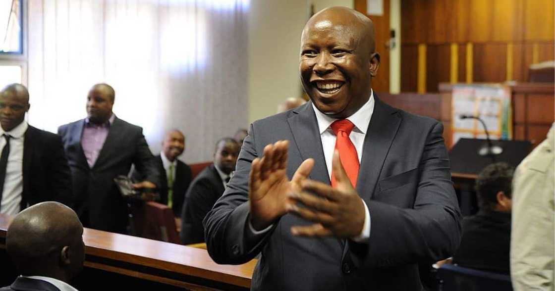 Video, Julius Malema, 41st Birthday, Court, EFF, Mzansi