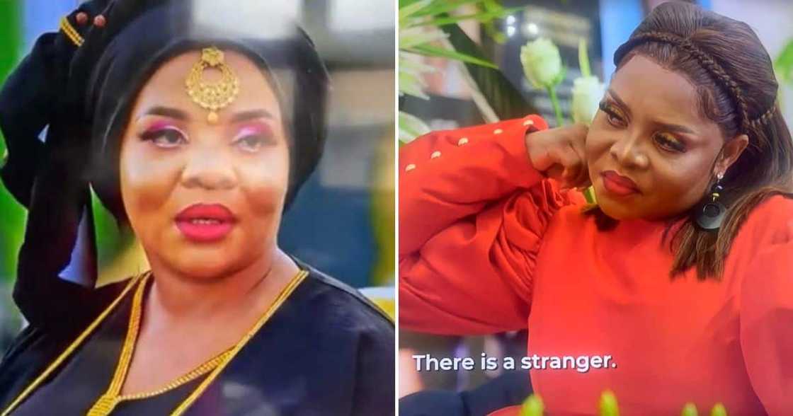 The Real Housewives Of Durban Sane The Real Housewives Of Durban Sane