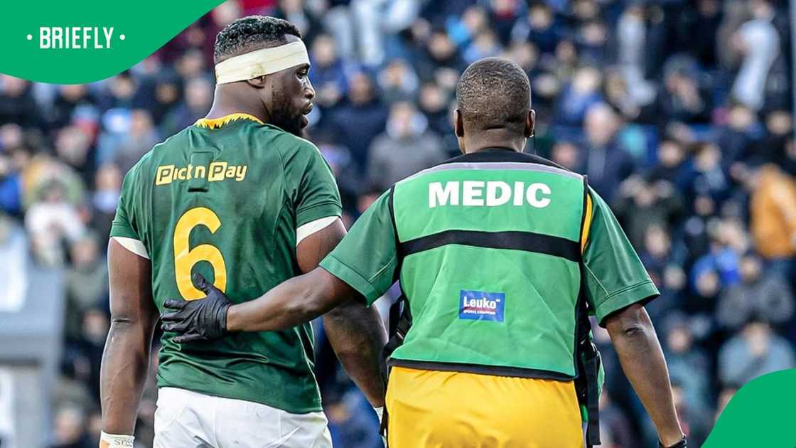 Springboks, Siya Kolisi, South Africa, Argentina Springboks, Siya Kolisi, South Africa, Argentina