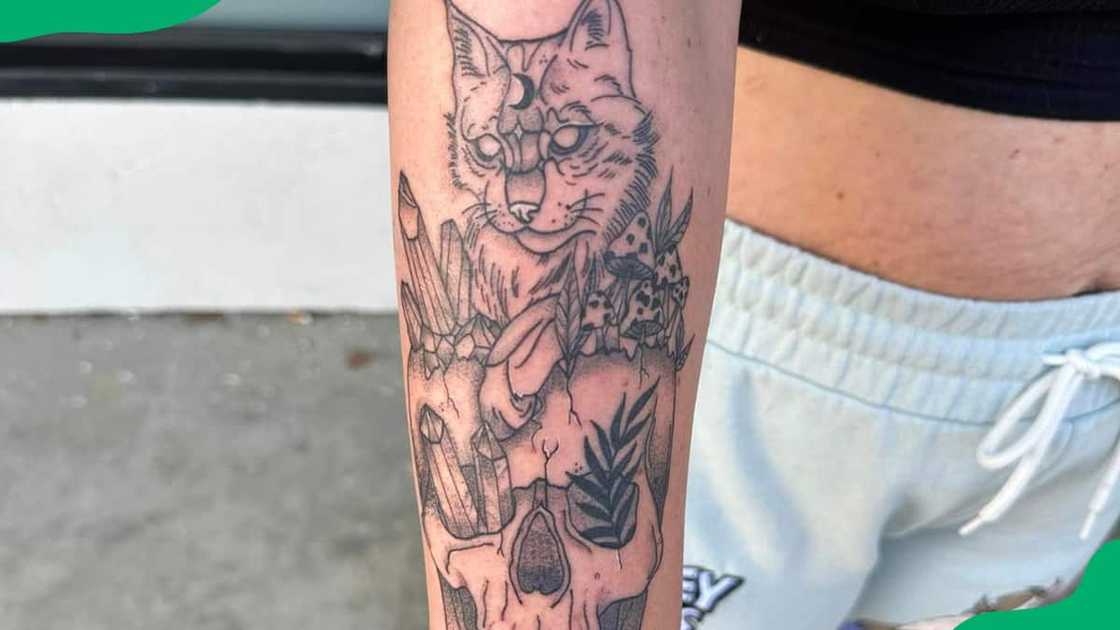 Cat with skull Cat with skull