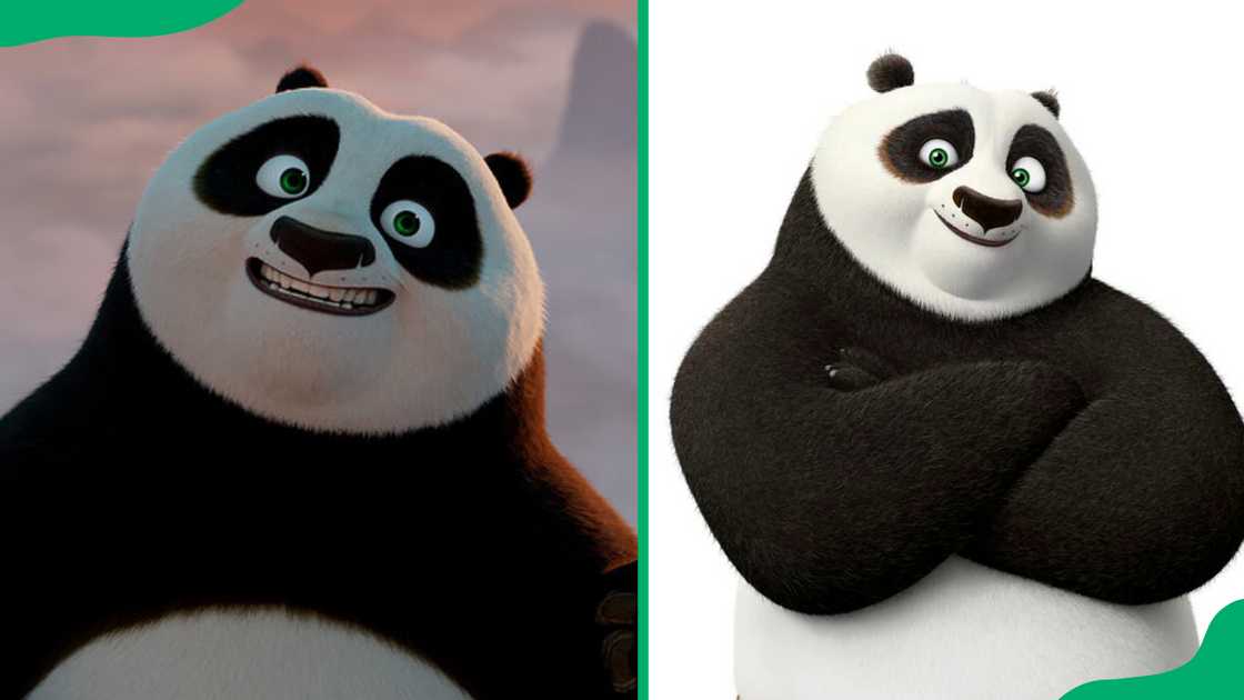 Po from the film series Kung Fu Panda. Po from the film series Kung Fu Panda.
