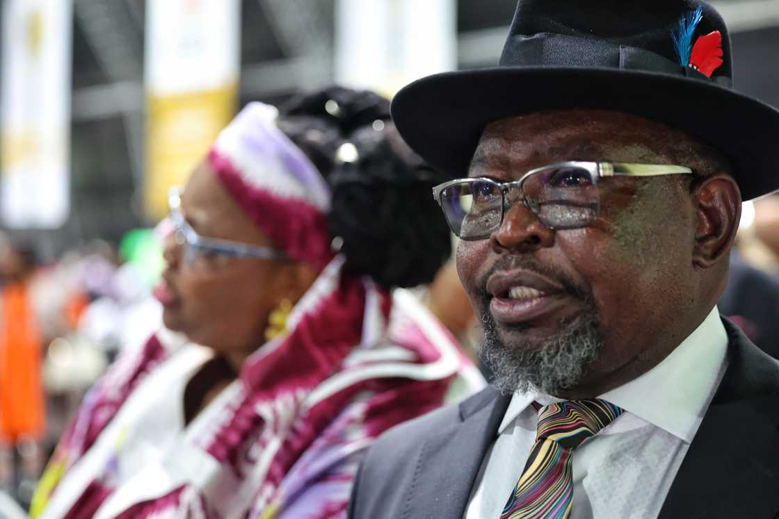 Enoch Godongwana's speech ruffled feathers Enoch Godongwana's speech ruffled feathers