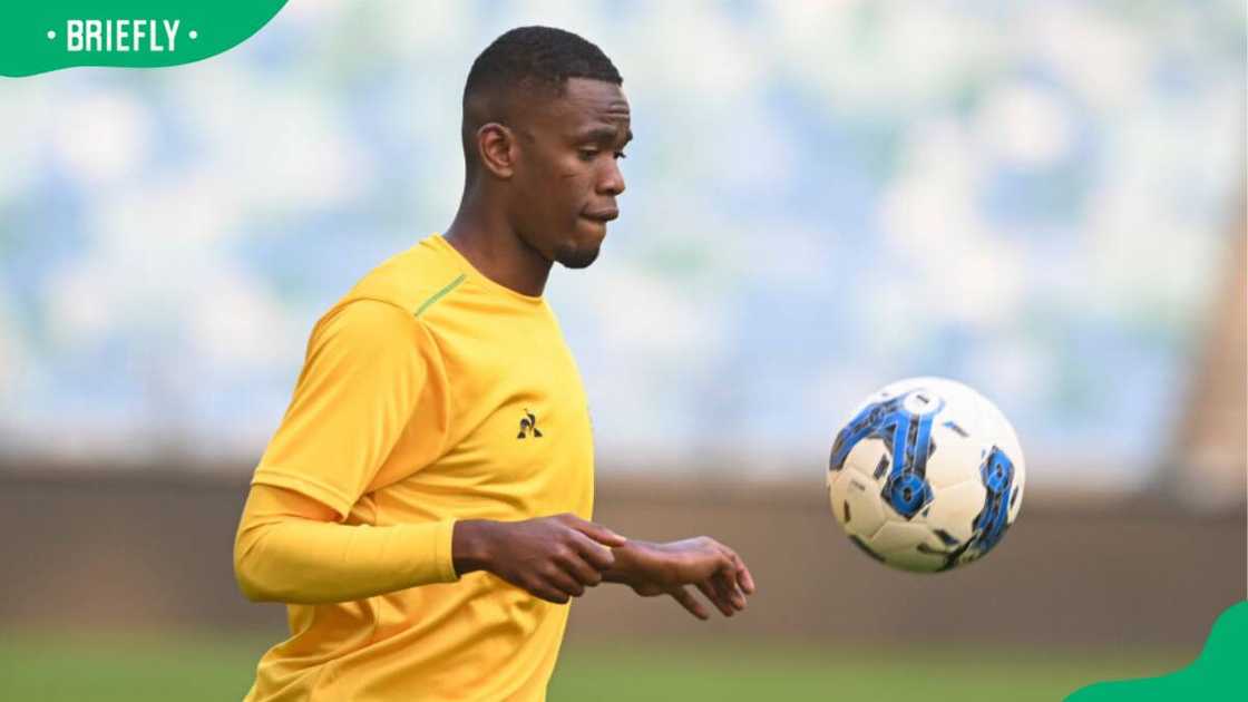 Sphephelo Sithole's current teams Sphephelo Sithole's current teams