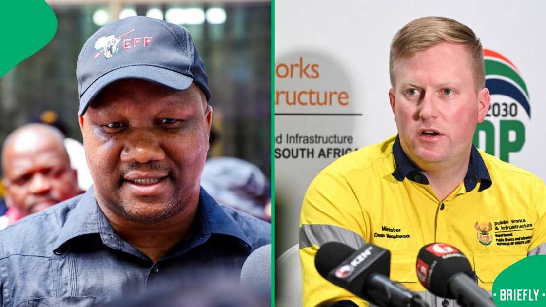 The EFF's Marshall Dlamini opened a case against Public Works minister Dean Macpherson