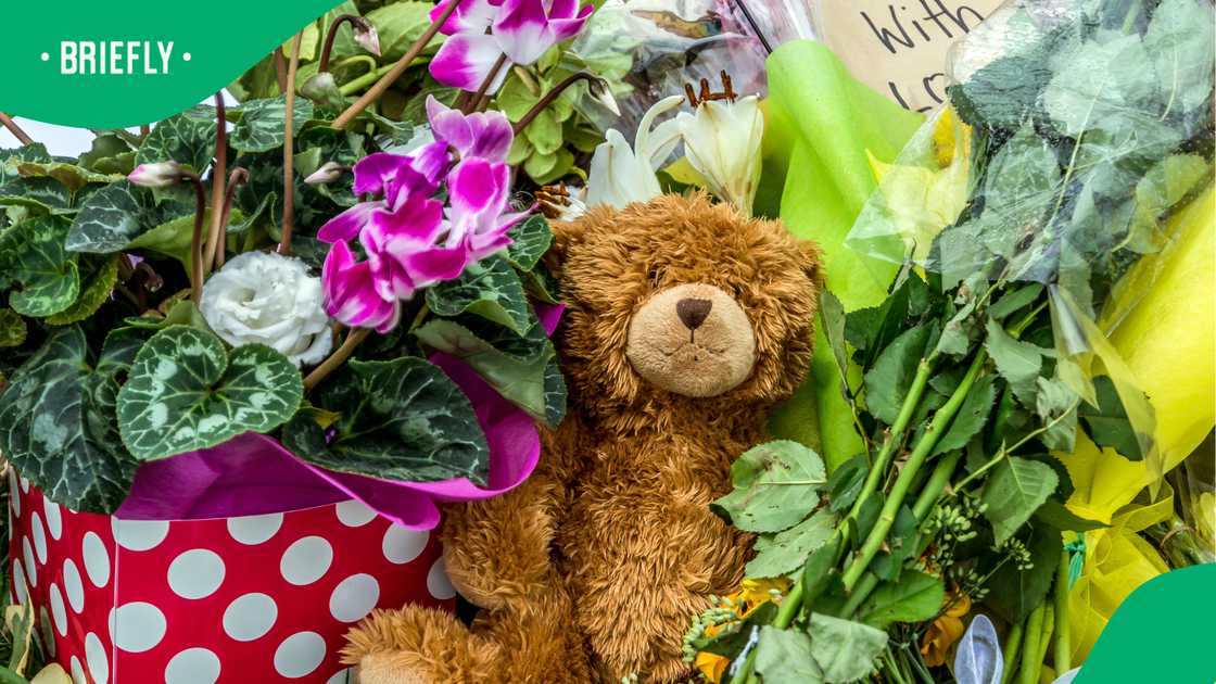 Dolly Parton fans gather outside her home, and one unlikely mourner has Mzansi emotional