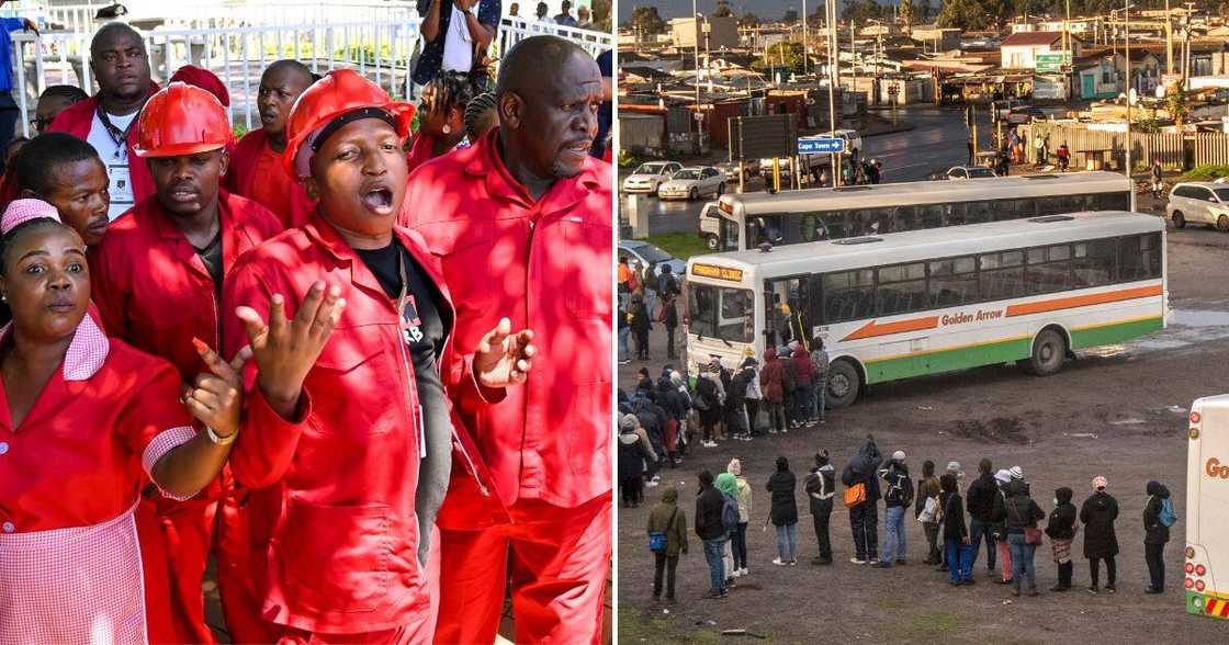 Putco's bus services will run as normal during the EFF's national shutdown Putco's bus services will run as normal during the EFF's national shutdown