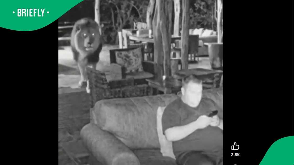 A video went viral. A video went viral.