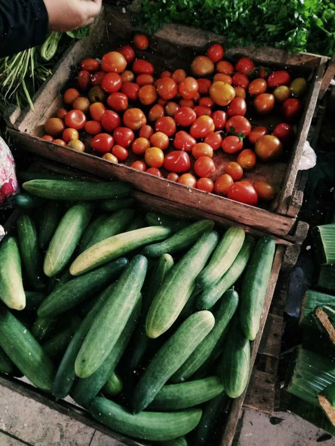 Beginner's vegetable planting guide South Africa 2019 Beginner's vegetable planting guide South Africa 2019