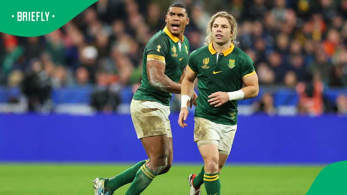 Springboks, South Africa, Faf de Klerk, Damian Willemse