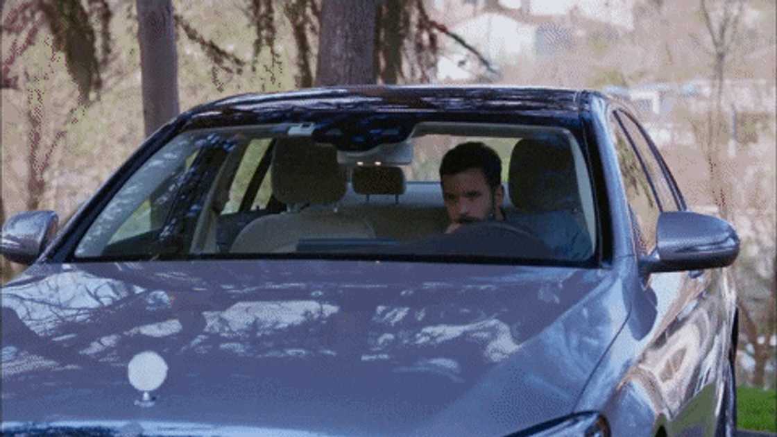 Voëlvry teasers Voëlvry teasers