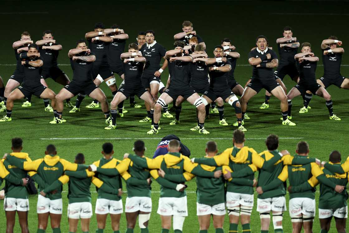 New Zealand, Springboks, South Africa, Wellington, Rugby Championship