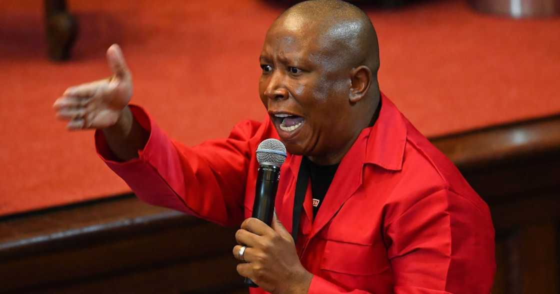 EFF leader Julius Malema EFF leader Julius Malema