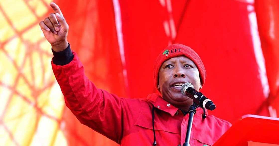 EFF, unseat, weak, ANC, Freedom Charter Day, Julius Malema EFF, unseat, weak, ANC, Freedom Charter Day, Julius Malema
