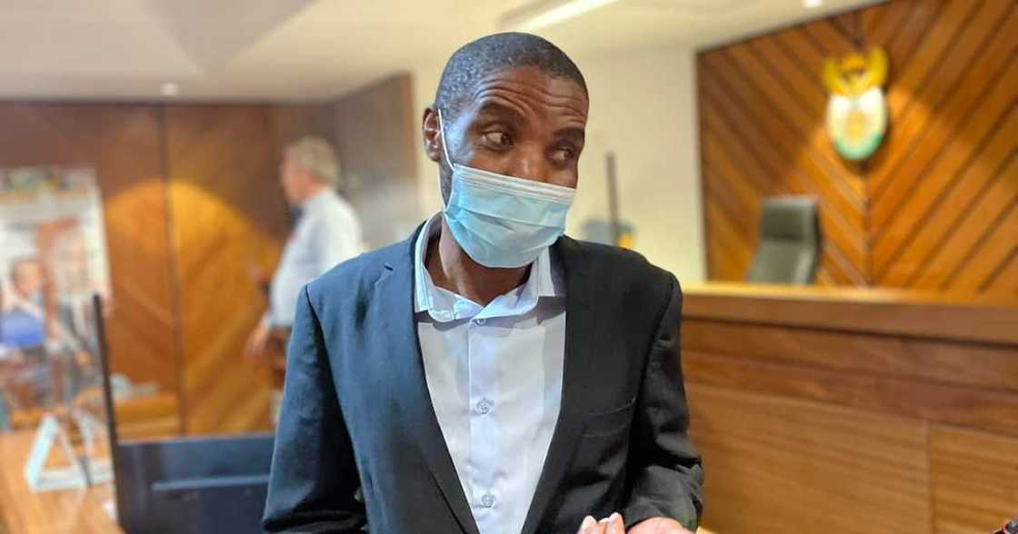 Zandile Mafe, Bail, Not Guilty, Parliament Fire Zandile Mafe, Bail, Not Guilty, Parliament Fire