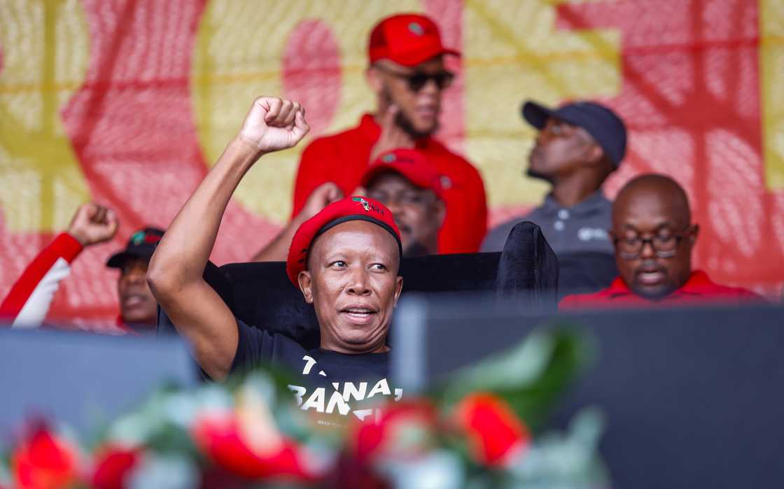 The EFF described Enoch Godongwana as a liar The EFF described Enoch Godongwana as a liar
