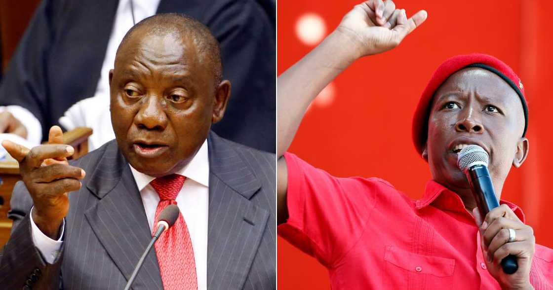 President Cyril Ramaphosa, EFF, Julius Malema, Covid-19 President Cyril Ramaphosa, EFF, Julius Malema, Covid-19