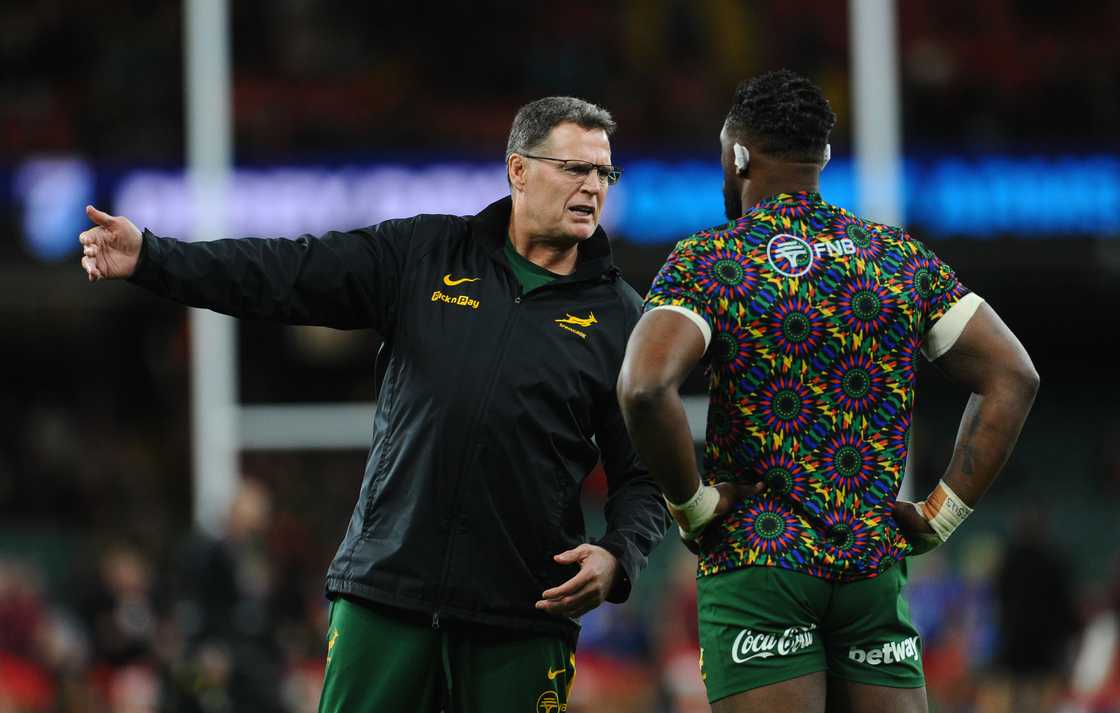 Springboks, South Africa, Rassie Erasmus, Siya Kolisi, Quilter Nations Series Springboks, South Africa, Rassie Erasmus, Siya Kolisi, Quilter Nations Series