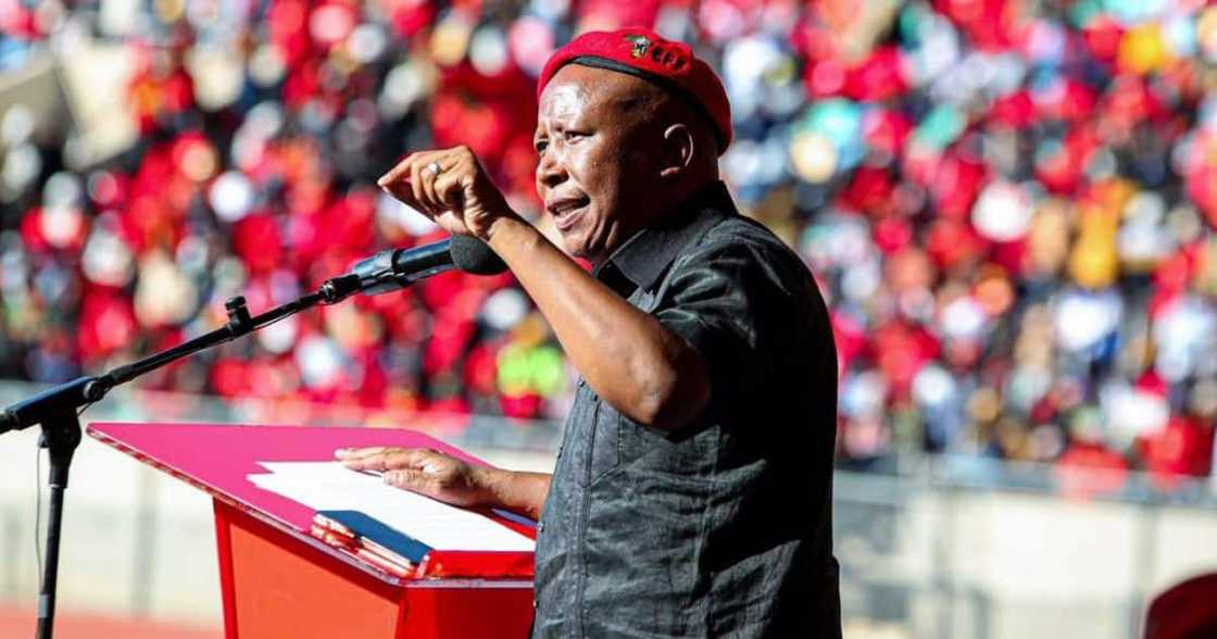 Julius Malema Julius Malema