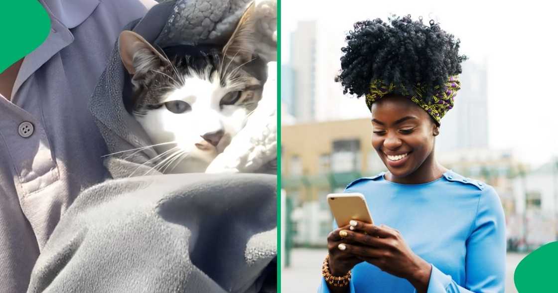 A woman was hilariously embarassed after a vet told her that her cat was in a heat. A woman was hilariously embarassed after a vet told her that her cat was in a heat.