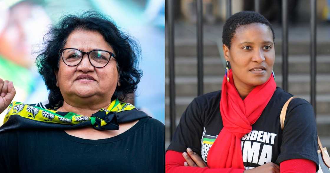 Jessie Duarte, Duduzile Zuma-Sambudla, Twitter, protests, violence, KwaZulu-Natal, Gauteng