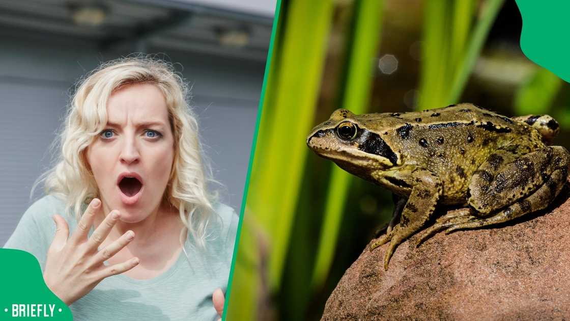 A post went viral. A post went viral.