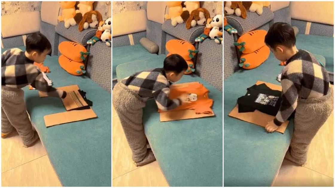 Kid, folding clothes, clothes folding invention, cardboard invention, trending news, viral posts Kid, folding clothes, clothes folding invention, cardboard invention, trending news, viral posts