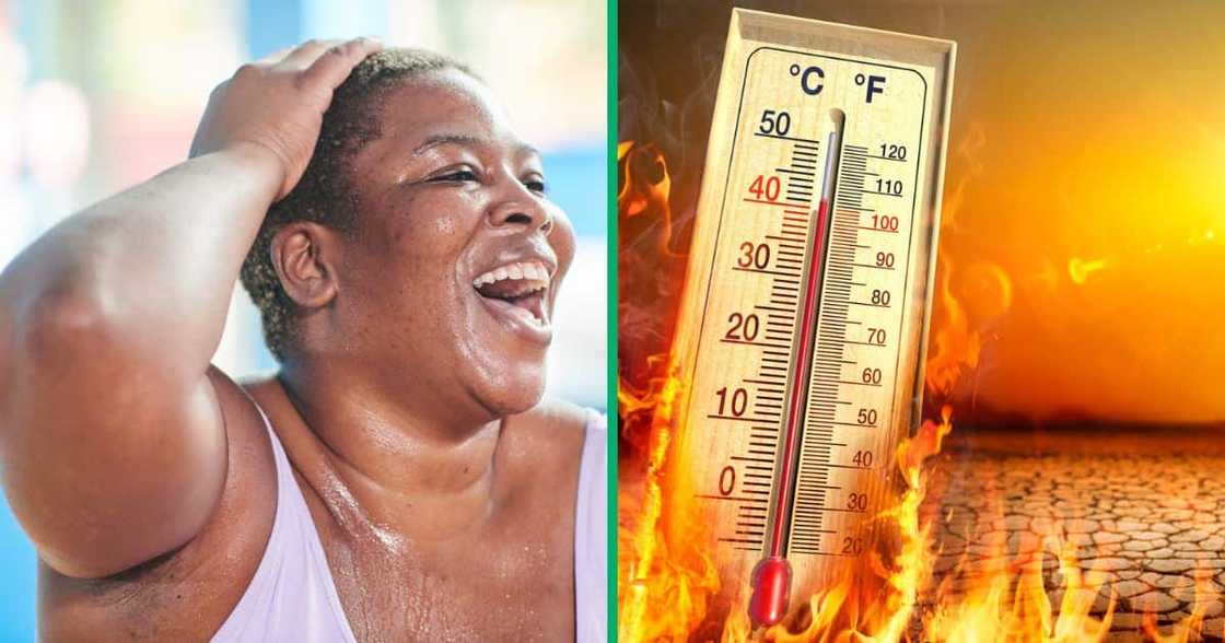 The recent high temperatures are attributed to global warming