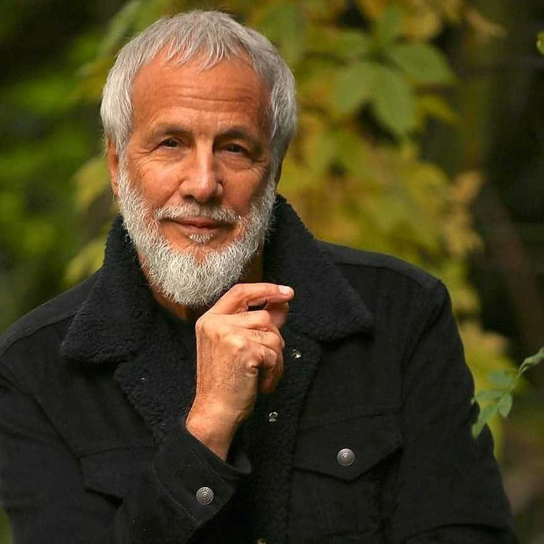 Cat Stevens Cat Stevens