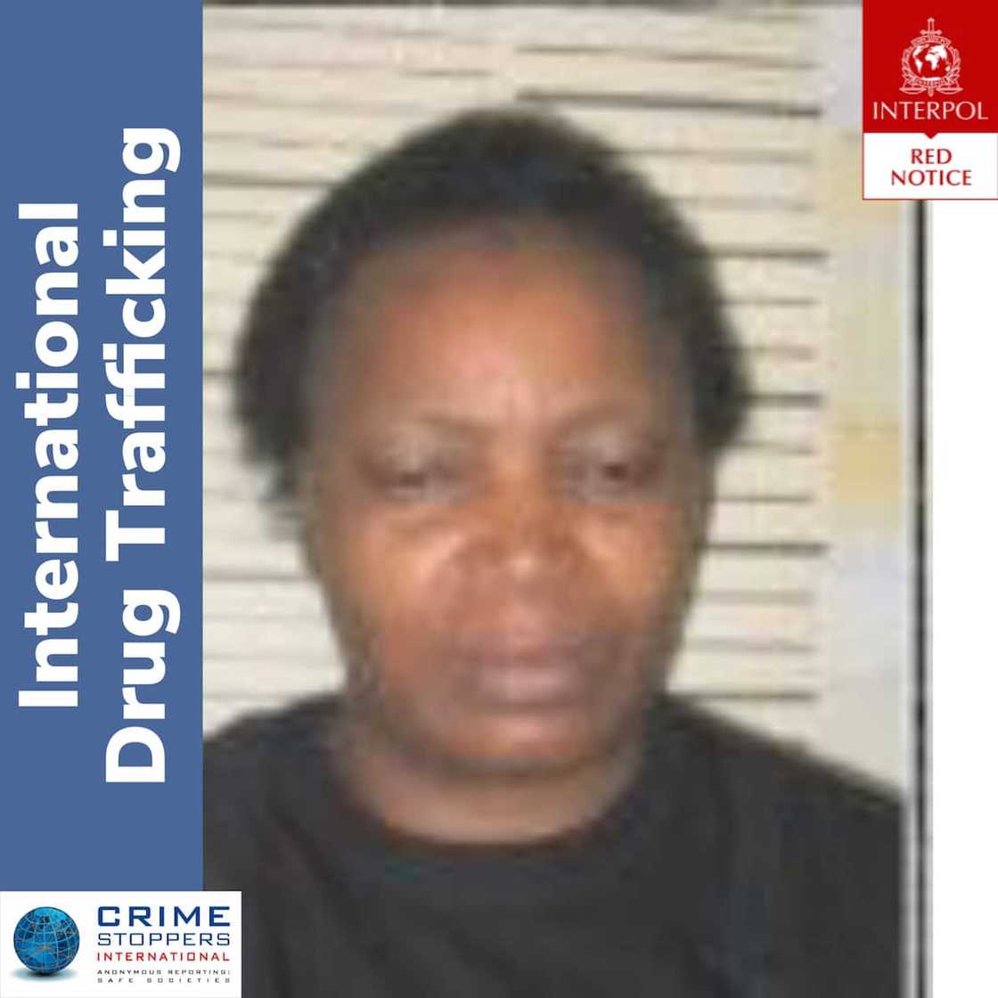 Most wanted woman in South Africa Most wanted woman in South Africa