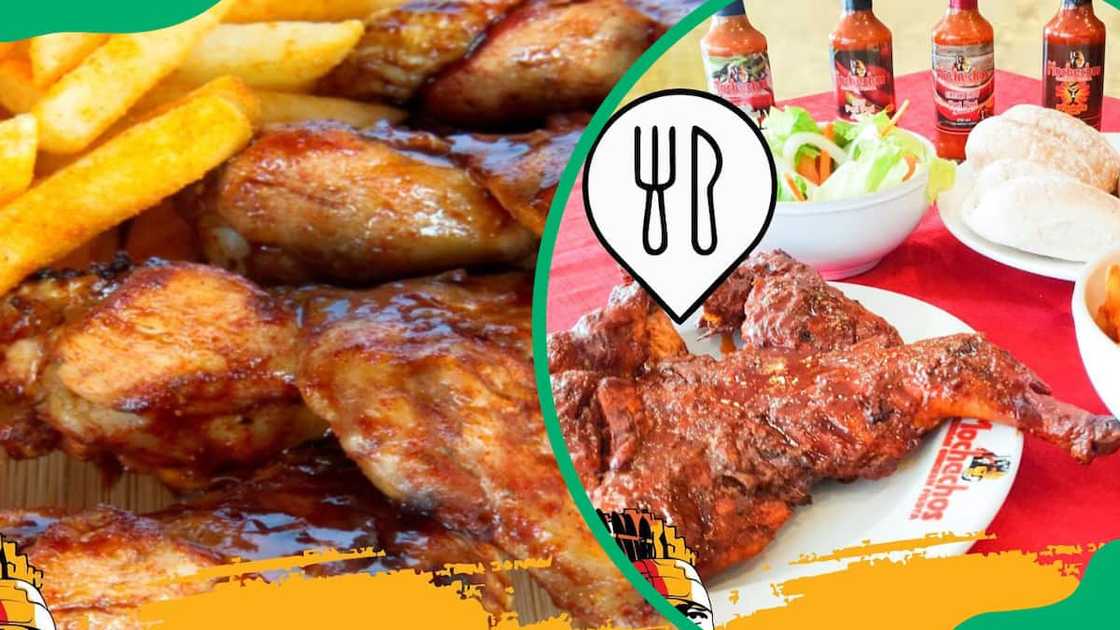 Mochachos Menu And Prices In South Africa updated For 2024 Briefly mochachos-menu-and-prices-in-south-africa-updated-for-2024-briefly