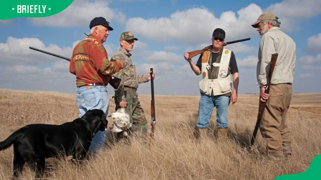 Game hunting Game hunting