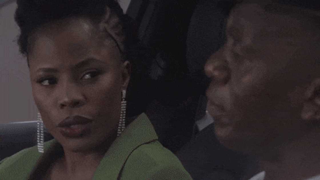 House of Zwide episodes House of Zwide episodes