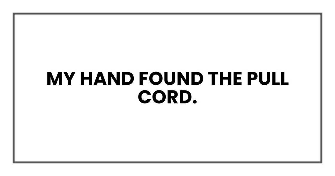 My hand found the pull cord. My hand found the pull cord.