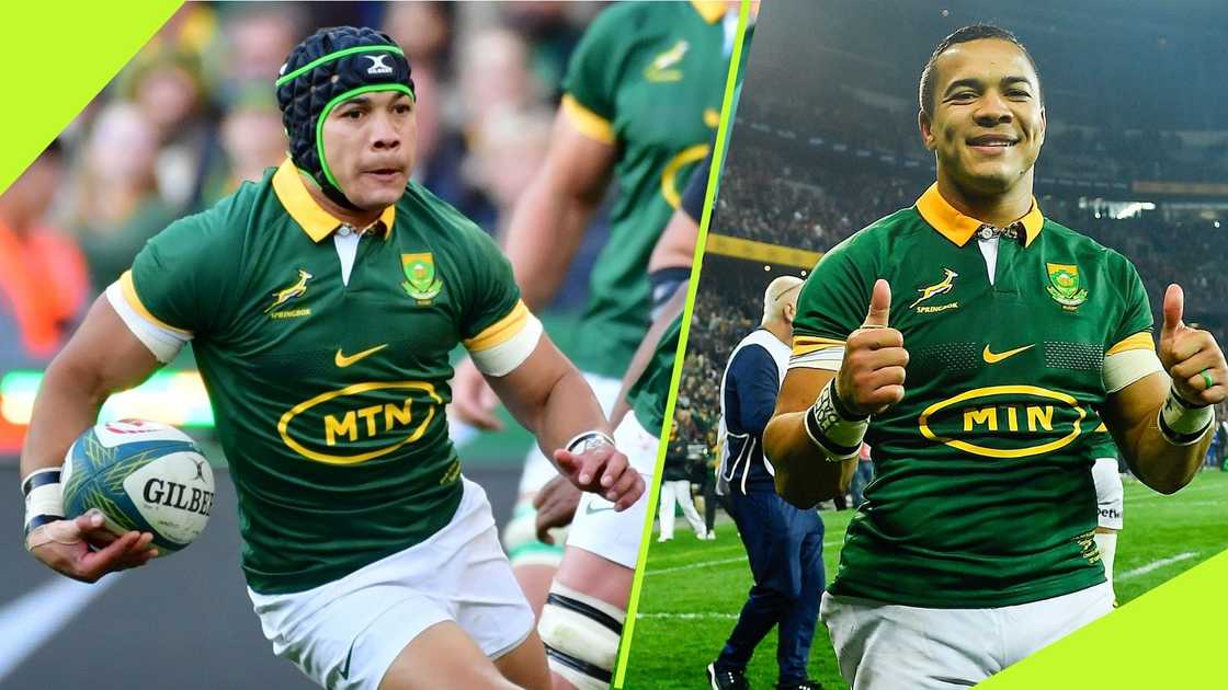 Cheslin Kolbe has been in impressive form for the Boks.