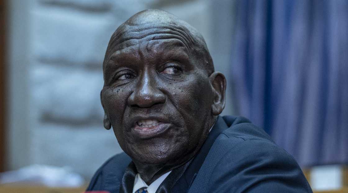 Bheki Cele testified at the Ad Hoc Committee in Parliament