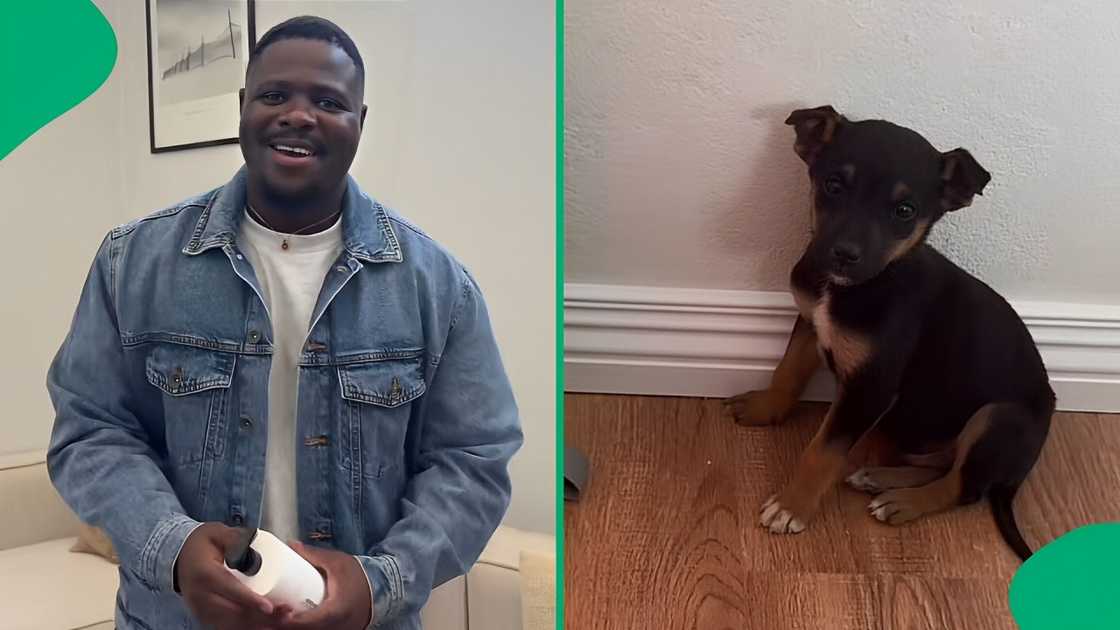 A TikTok video shows a man unveiling the house he built for his dog.