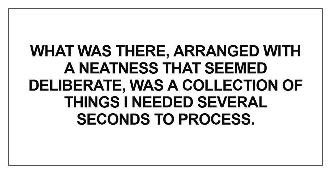 What was there, arranged with a neatness that seemed deliberate