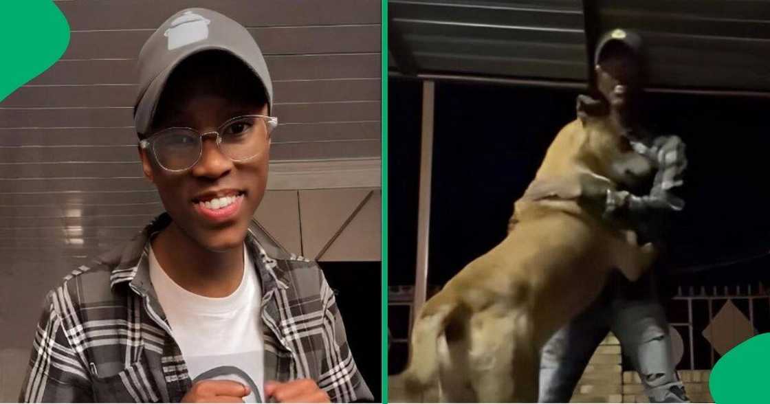 A dog almost bit its owner after they hugged each other. A dog almost bit its owner after they hugged each other.