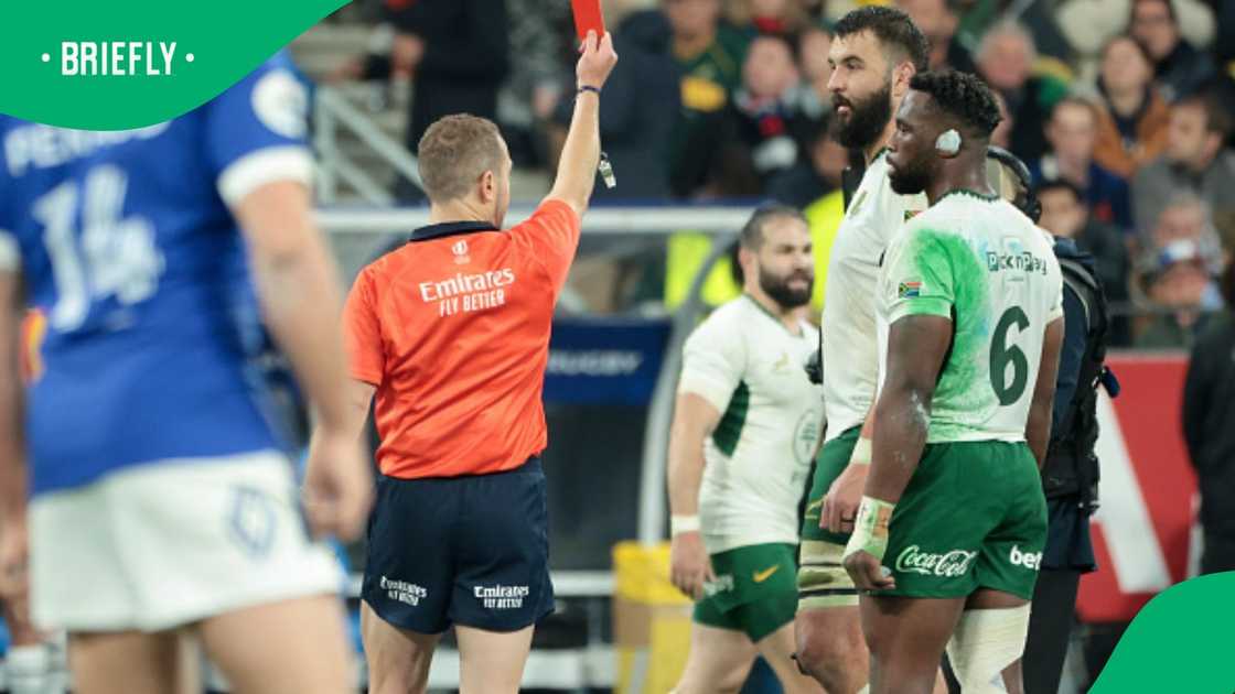 Springboks, South Africa, Angus Gardner, All Blacks