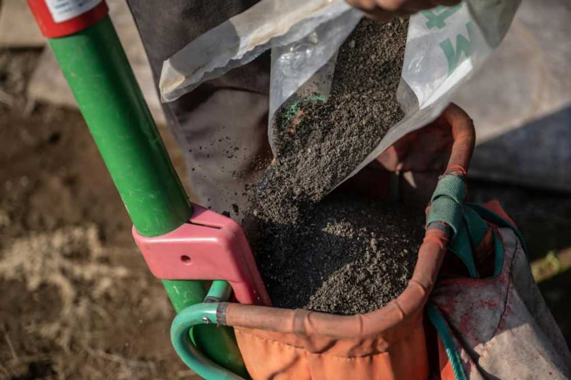 Japan's government has encouraged the revival of the use of human waste fertiliser, citing environmental benefits, and concerns about food security since Russia's invasion Japan's government has encouraged the revival of the use of human waste fertiliser, citing environmental benefits, and concerns about food security since Russia's invasion