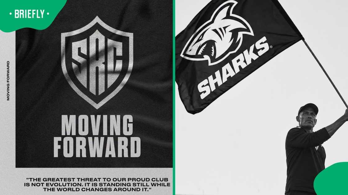 Sharks rebranding