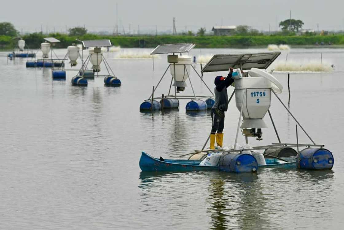 An industry association says shrimpers have spent $100 million on security this year alone An industry association says shrimpers have spent $100 million on security this year alone