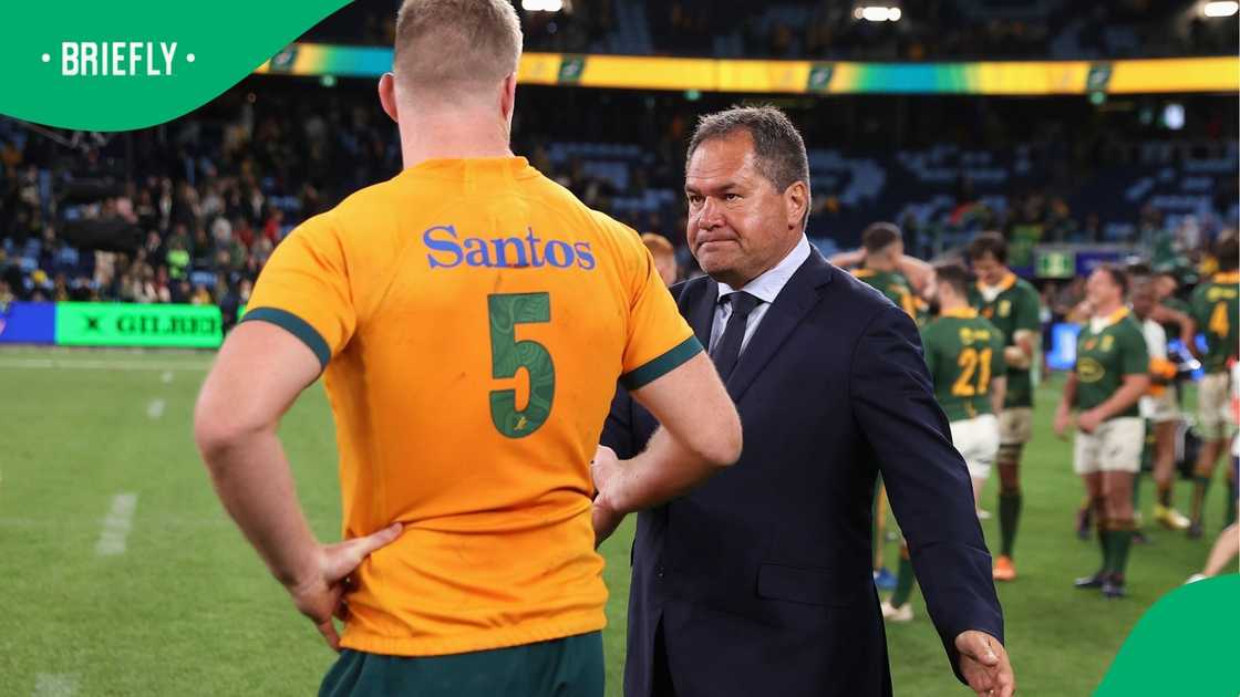 Dave Rennie, Len Ikitau, Rugby Championship, Australia, South Africa, Springboks. Dave Rennie, Len Ikitau, Rugby Championship, Australia, South Africa, Springboks.