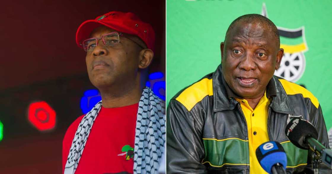 Dali Mpofu, President Cyril Ramaphosa, ANC, EFF, Gauteng metros, Johannesburg, Ekuhruleni