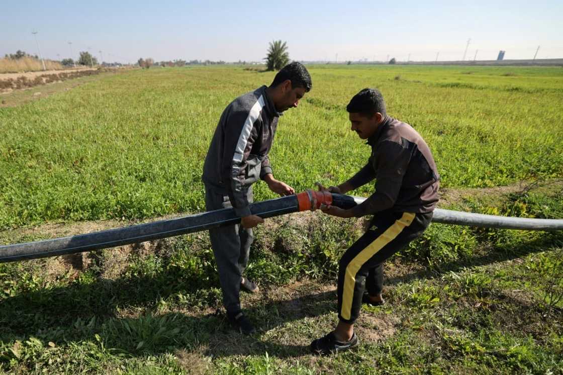 Iraqi villager Souad Mehdi says instead of two days, she now takes two hours to water her crops Iraqi villager Souad Mehdi says instead of two days, she now takes two hours to water her crops