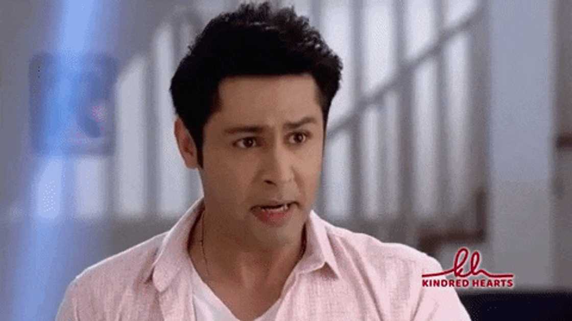 Kindred Hearts Zee World Kindred Hearts Zee World